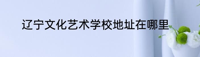 辽宁文化艺术学校地址在哪里