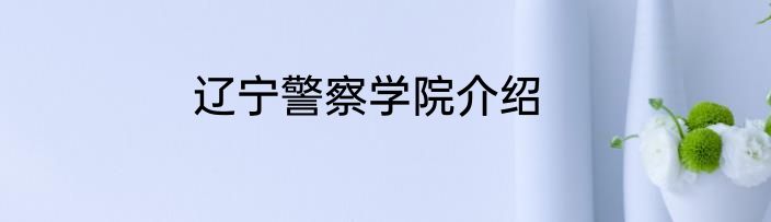 辽宁警察学院介绍