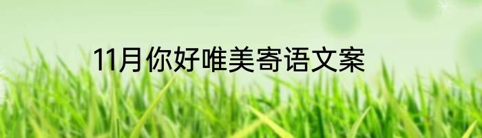 11月你好唯美寄语文案