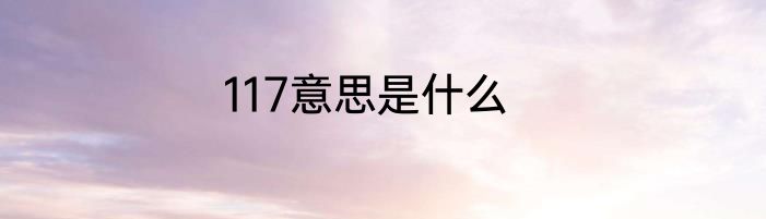 117意思是什么