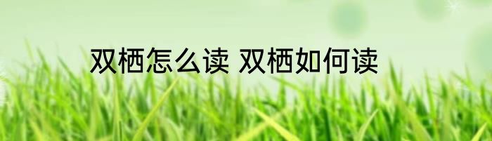 双栖怎么读 双栖如何读
