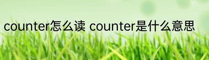 counter怎么读 counter是什么意思