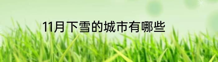 11月下雪的城市有哪些