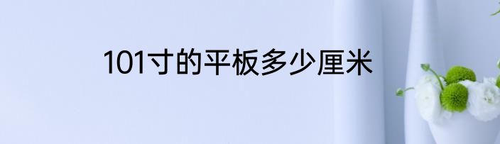 101寸的平板多少厘米