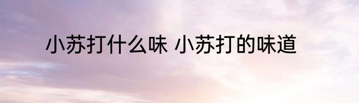 小苏打什么味 小苏打的味道