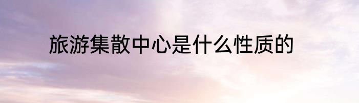旅游集散中心是什么性质的