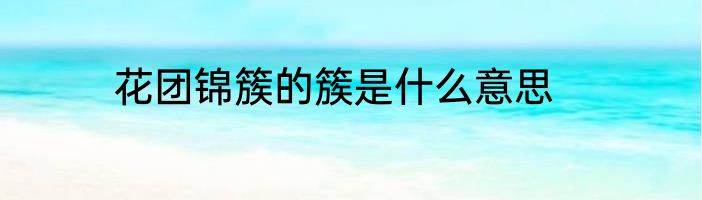 花团锦簇的簇是什么意思