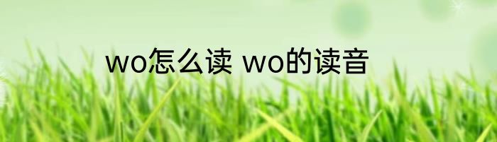 wo怎么读 wo的读音