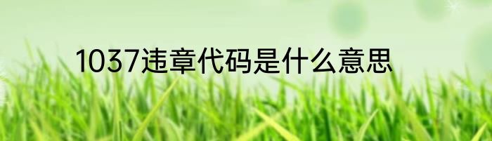 1037违章代码是什么意思