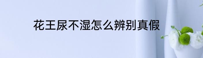花王尿不湿怎么辨别真假