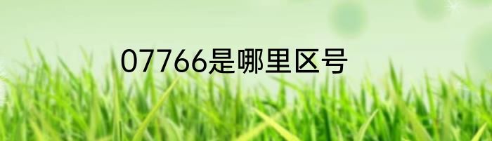 07766是哪里区号