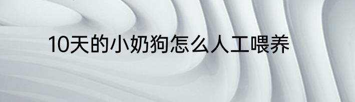 10天的小奶狗怎么人工喂养