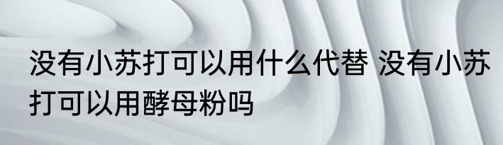 没有小苏打可以用什么代替 没有小苏打可以用酵母粉吗