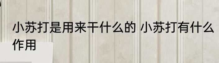 小苏打是用来干什么的 小苏打有什么作用