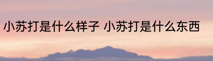 小苏打是什么样子 小苏打是什么东西