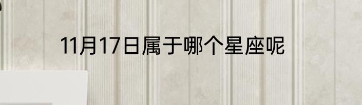 11月17日属于哪个星座呢