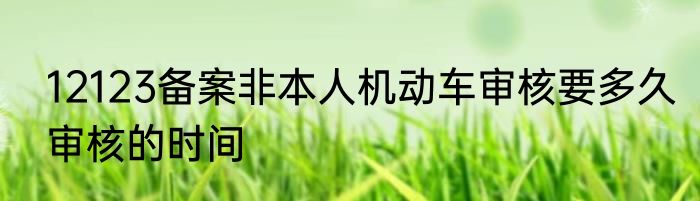 12123备案非本人机动车审核要多久审核的时间
