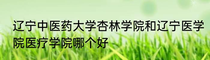 辽宁中医药大学杏林学院和辽宁医学院医疗学院哪个好
