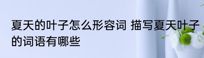 夏天的叶子怎么形容词 描写夏天叶子的词语有哪些