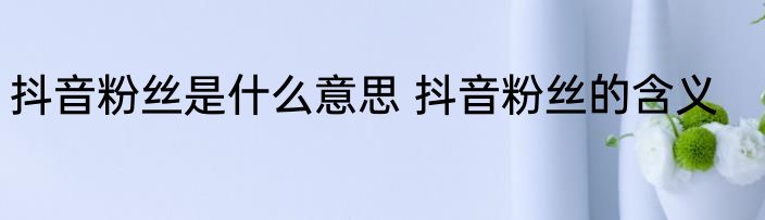 抖音粉丝是什么意思 抖音粉丝的含义