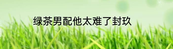 绿茶男配他太难了封玖