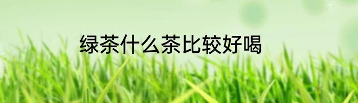 绿茶什么茶比较好喝