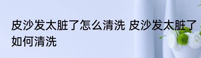 皮沙发太脏了怎么清洗 皮沙发太脏了如何清洗