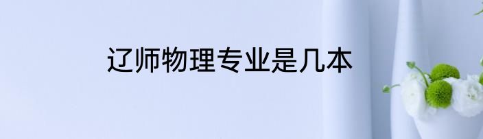 辽师物理专业是几本