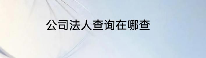 公司法人查询在哪查