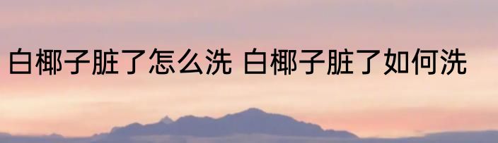 白椰子脏了怎么洗 白椰子脏了如何洗