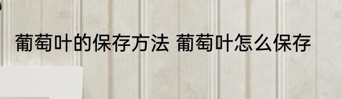 葡萄叶的保存方法 葡萄叶怎么保存