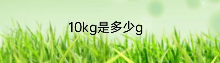 10kg是多少g