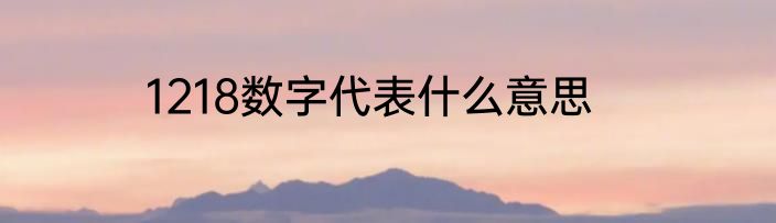 1218数字代表什么意思
