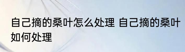自己摘的桑叶怎么处理 自己摘的桑叶如何处理
