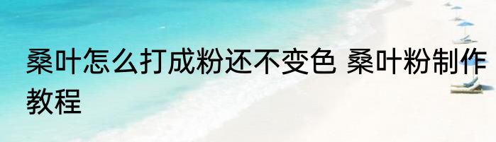 桑叶怎么打成粉还不变色 桑叶粉制作教程
