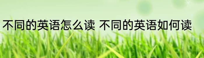 不同的英语怎么读 不同的英语如何读