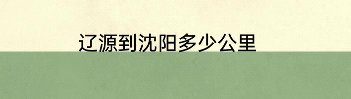 辽源到沈阳多少公里