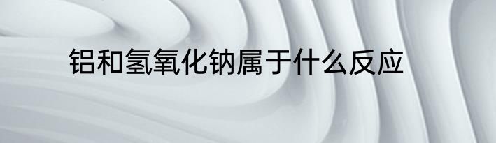 铝和氢氧化钠属于什么反应