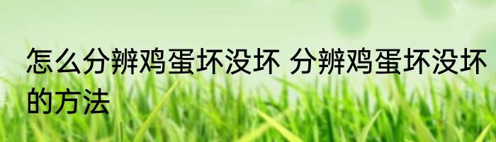 怎么分辨鸡蛋坏没坏 分辨鸡蛋坏没坏的方法