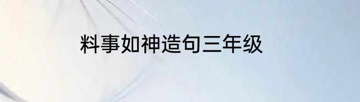 料事如神造句三年级