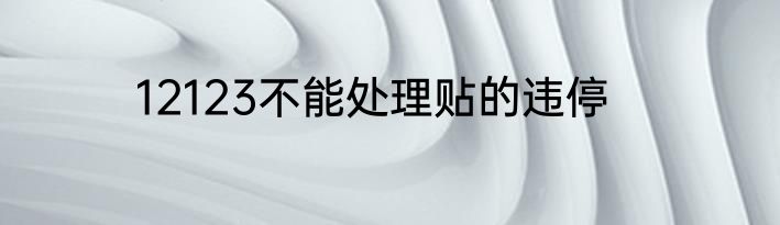 12123不能处理贴的违停