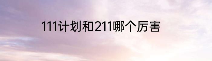 111计划和211哪个厉害
