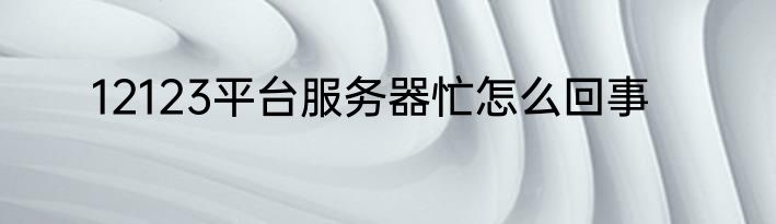 12123平台服务器忙怎么回事