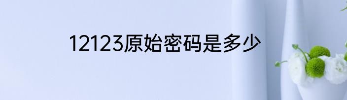 12123原始密码是多少