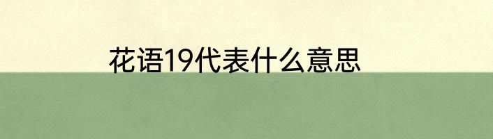 花语19代表什么意思