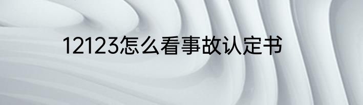 12123怎么看事故认定书
