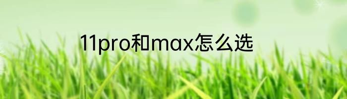 11pro和max怎么选