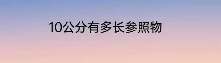 10公分有多长参照物