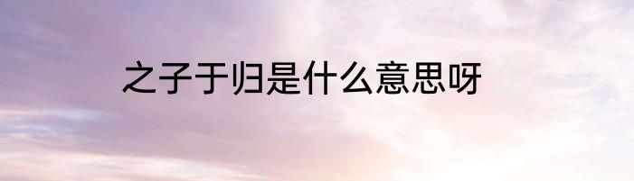 之子于归是什么意思呀