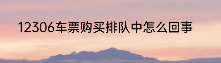 12306车票购买排队中怎么回事